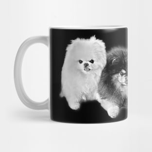 Pomeranian Pencil Art Mug